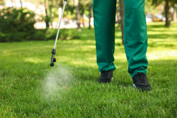 Best Pest Control Near Me  in Wray, CO