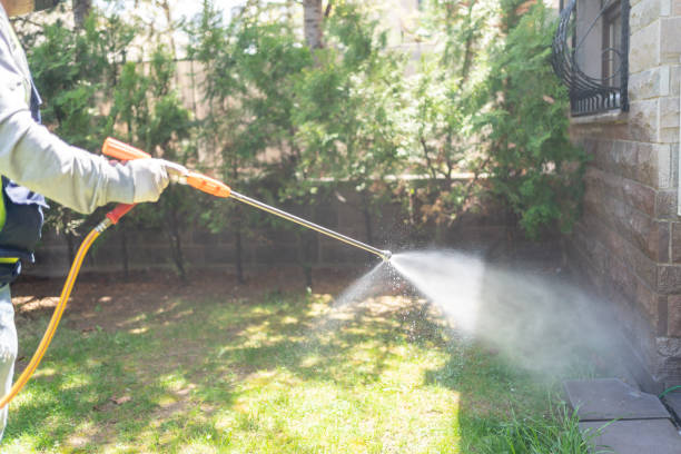 Reliable Wray, CO Pest Control Solutions