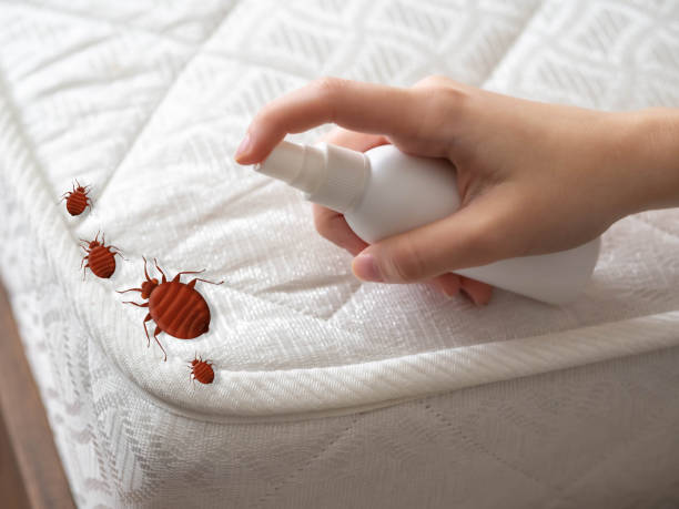 Best Affordable Pest Control Services  in Wray, CO