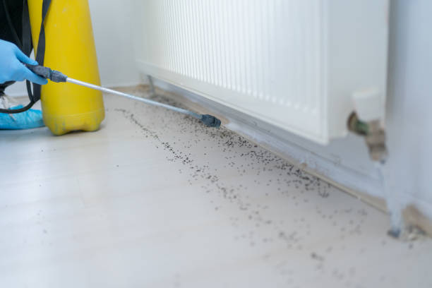 Best Mosquito Control Services  in Wray, CO
