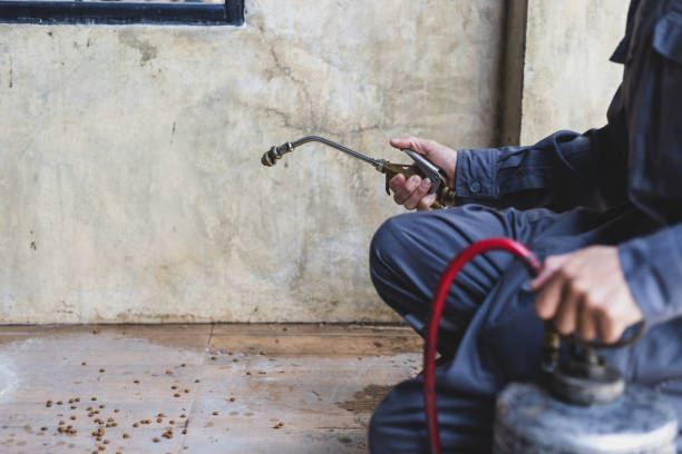 Best Best Pest Control Companies  in Wray, CO